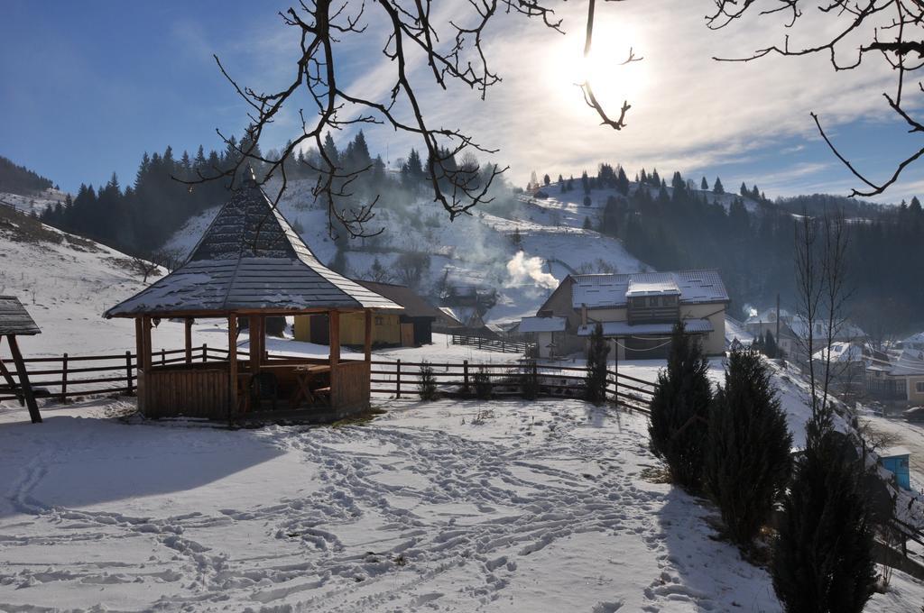 Pensiunea La Ionica Dîmbovicioara Exteriér fotografie