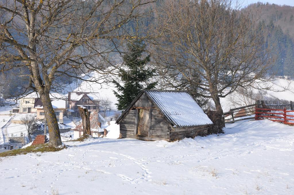 Pensiunea La Ionica Dîmbovicioara Exteriér fotografie