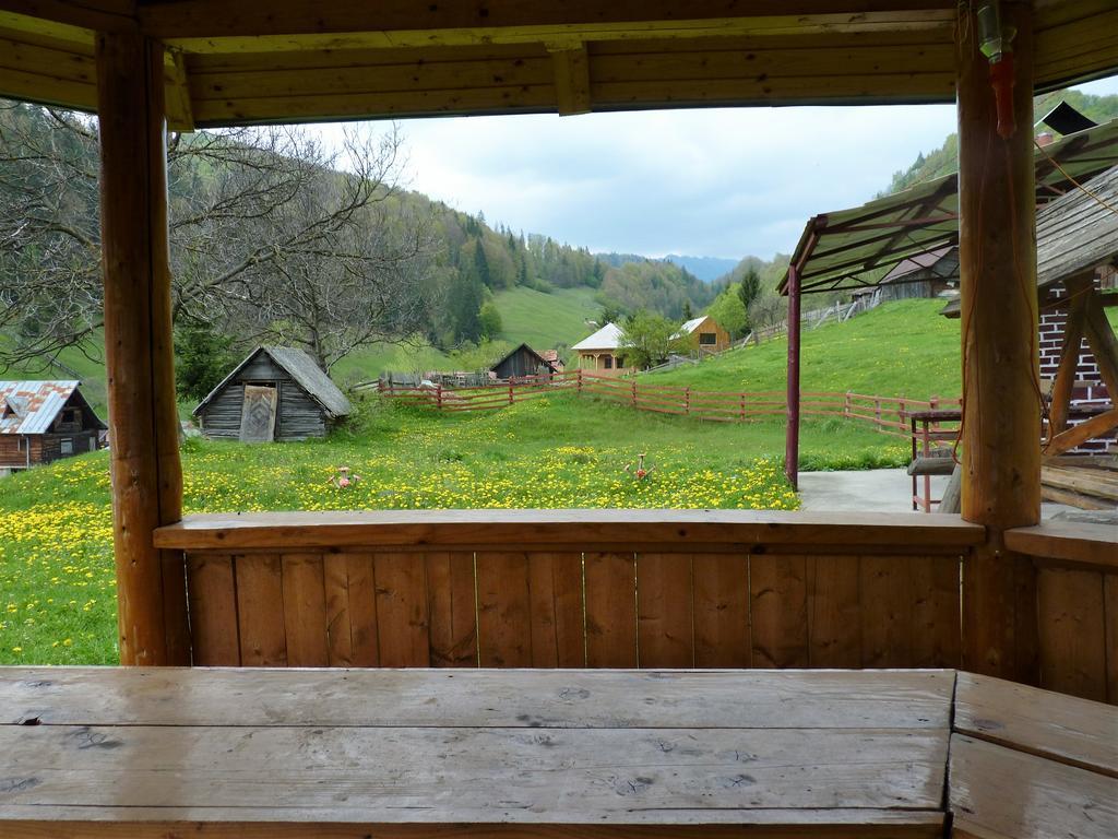 Pensiunea La Ionica Dîmbovicioara Exteriér fotografie