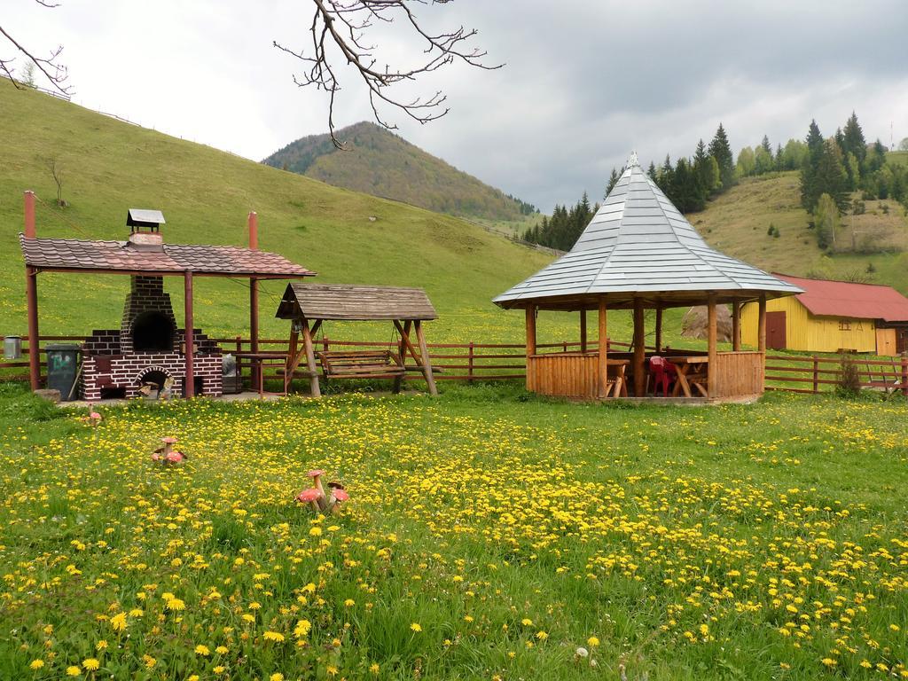 Pensiunea La Ionica Dîmbovicioara Exteriér fotografie