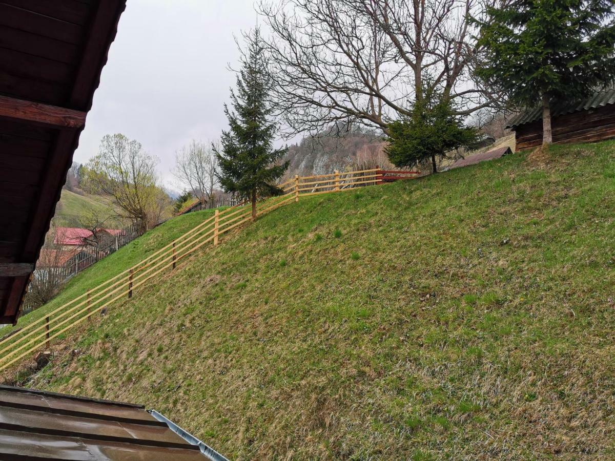 Pensiunea La Ionica Dîmbovicioara Exteriér fotografie