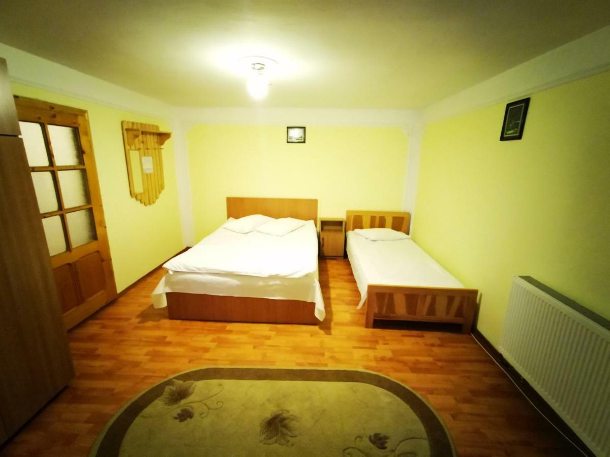 Pensiunea La Ionica Dîmbovicioara Exteriér fotografie